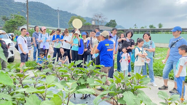 113年桐花祭照片